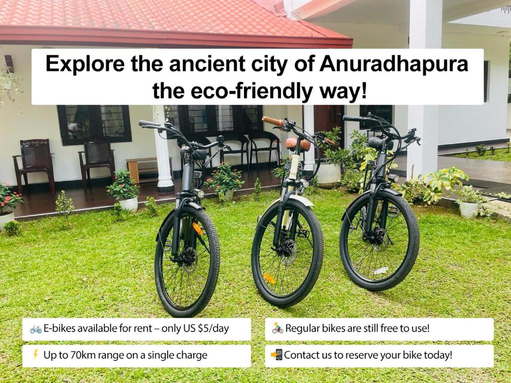 Our eco-friendly efforts