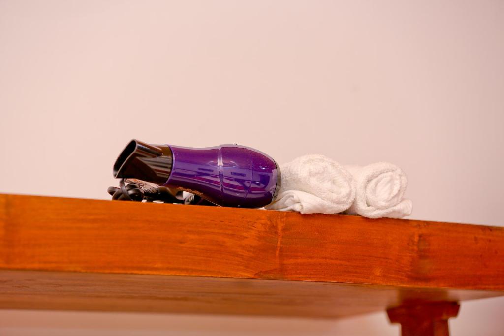 Hair Dryer